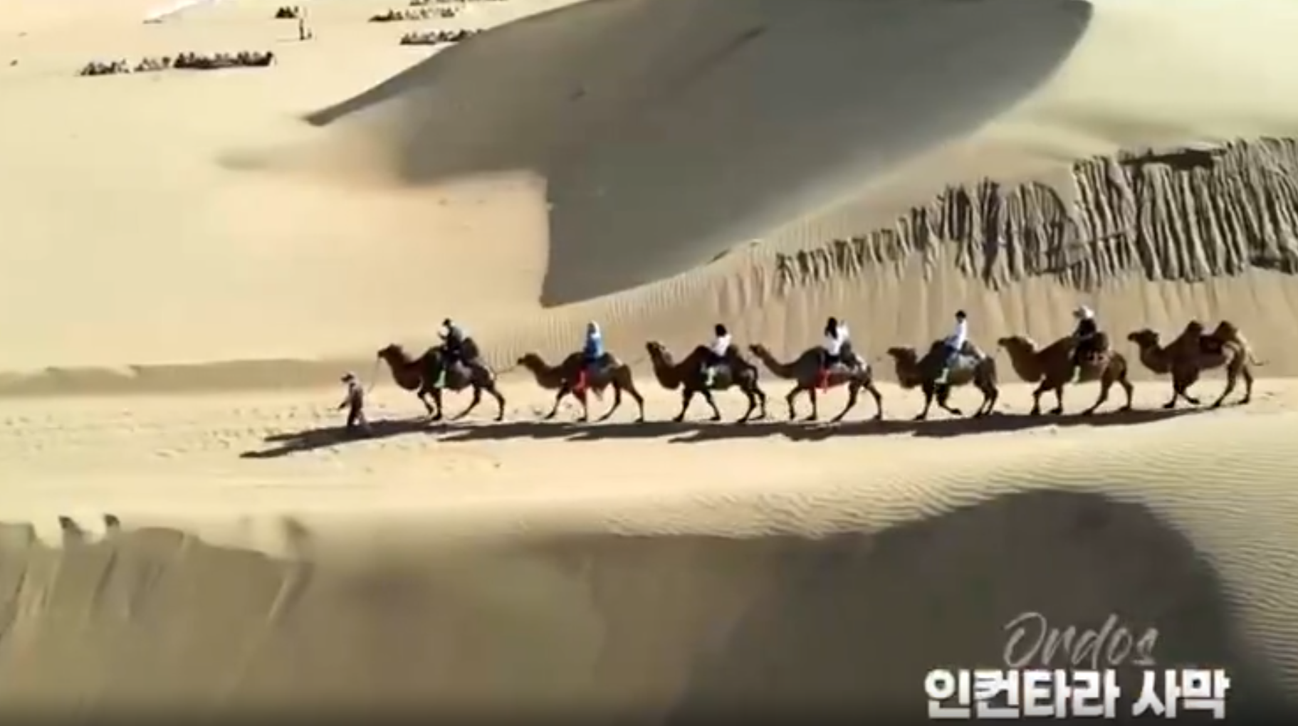 오르오스 특가 내몽고 노옵션 마상쇼 사막엑티비티 현대식게르