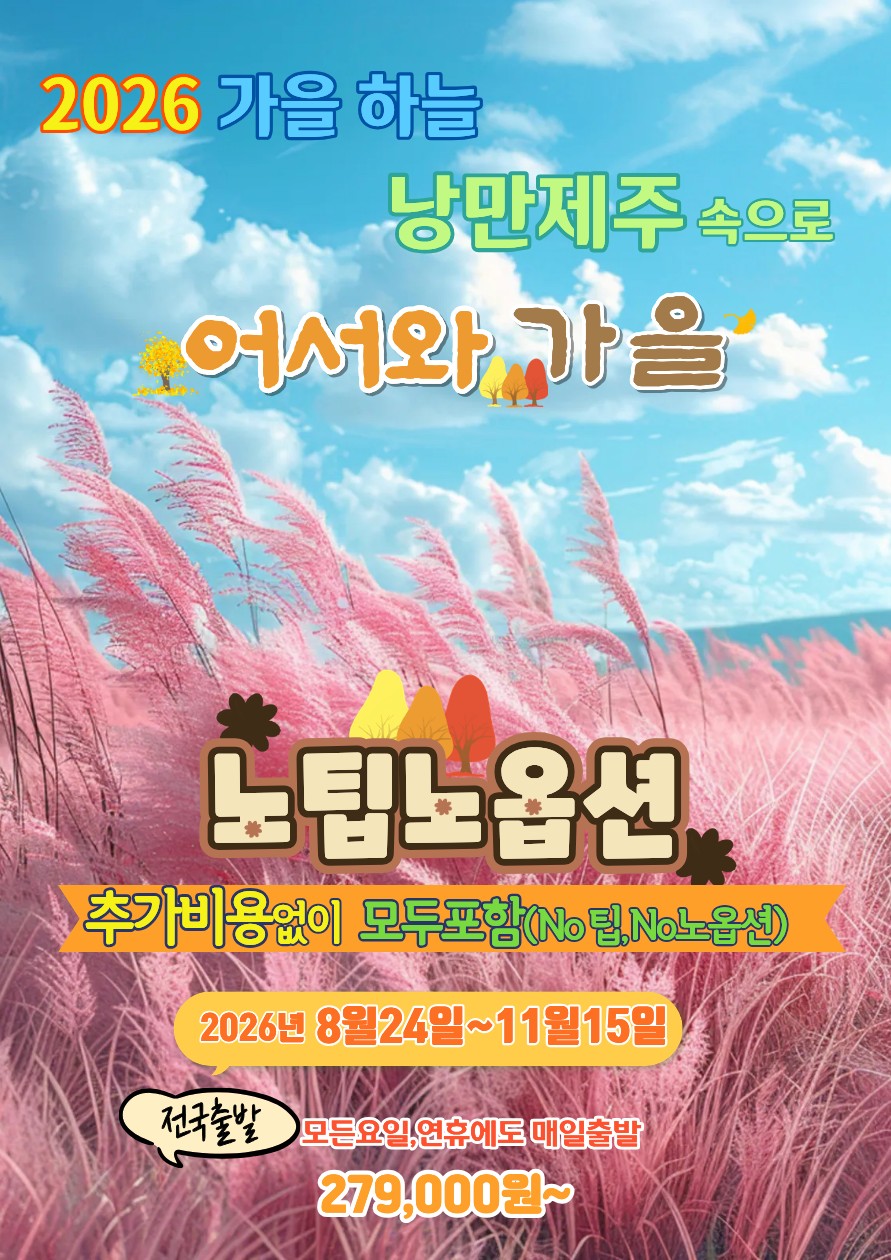 제주도 가을하늘 억새길따라 낭만가득 노팁노옵션