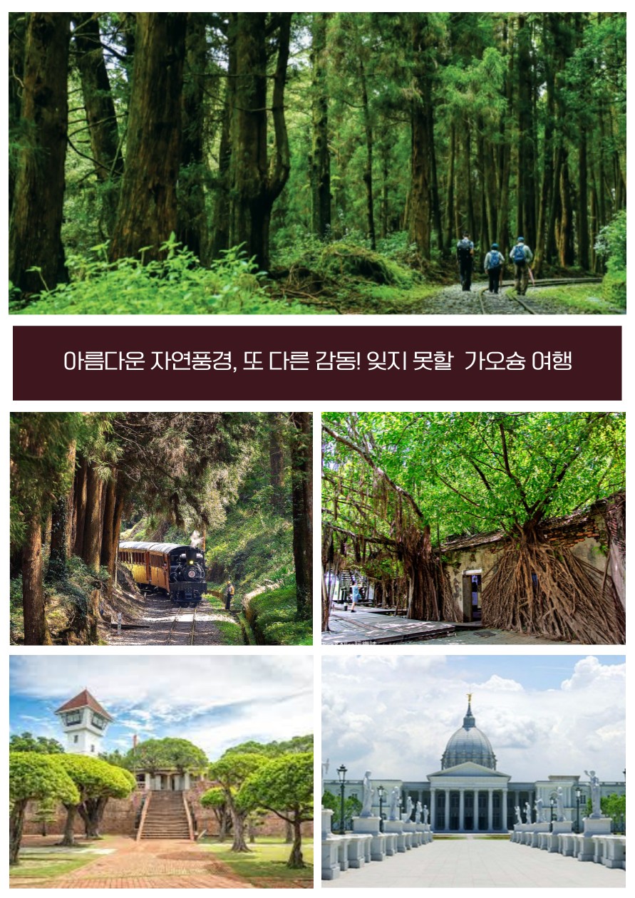 타이페이IN 가오슝OUT 노쇼핑 101타워 야시장 아리산 두지역관광
