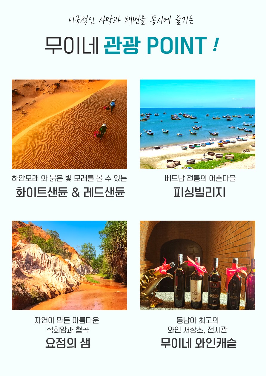 호치민/무이네vs미토#사막투어#맹글로브정글#모래썰매