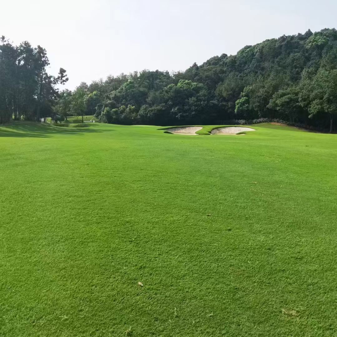 남경 골프 난징 태양도CC 고품격 편리한이동 가성비