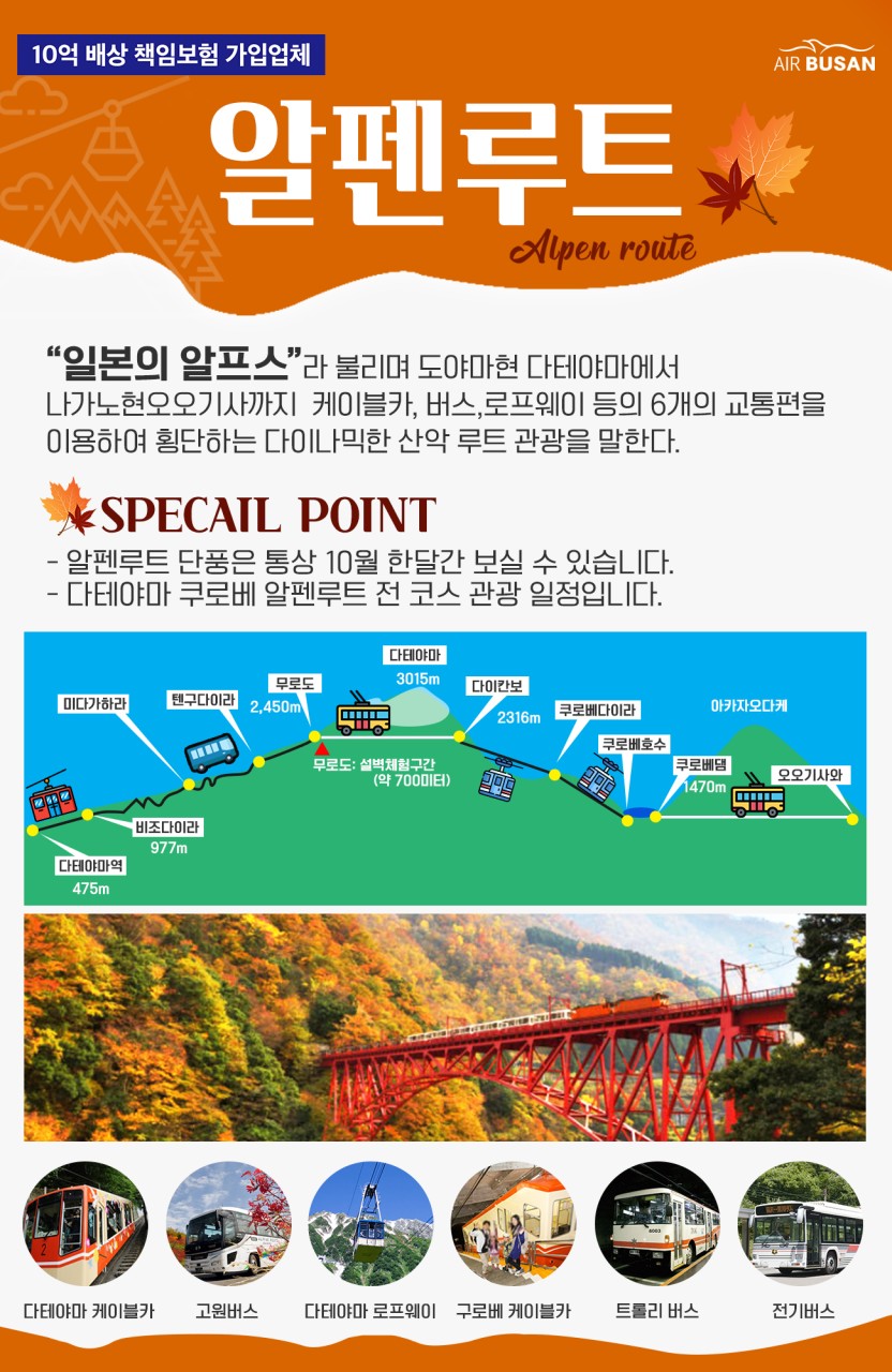 도야마 알펜루트 전세기 가미코지 시라카와고 프리미엄 단풍기행