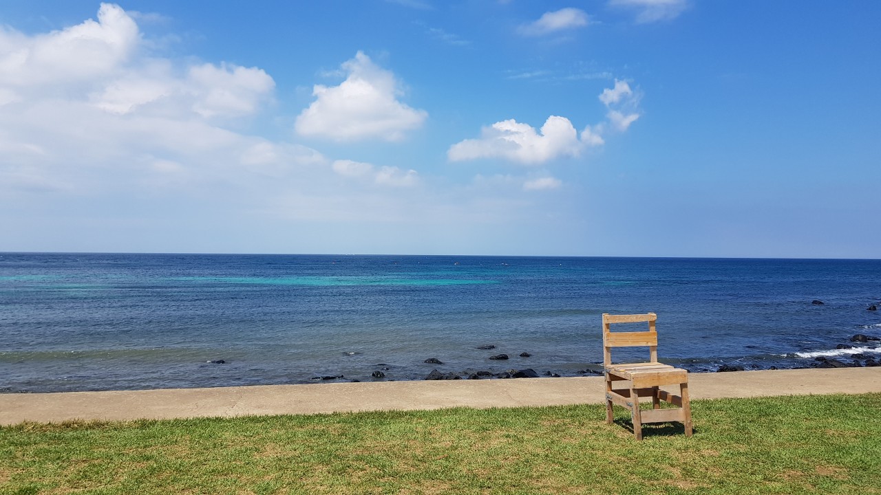 제주도/에어카#여름휴가#가족#친지#연인#자유여행#자차보험포함