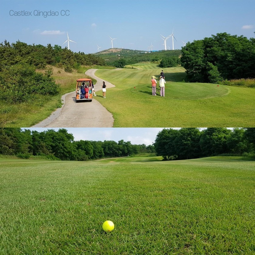 청도골프 캐슬렉스CC 무제한골프 골프텔 최상의 잔디상태