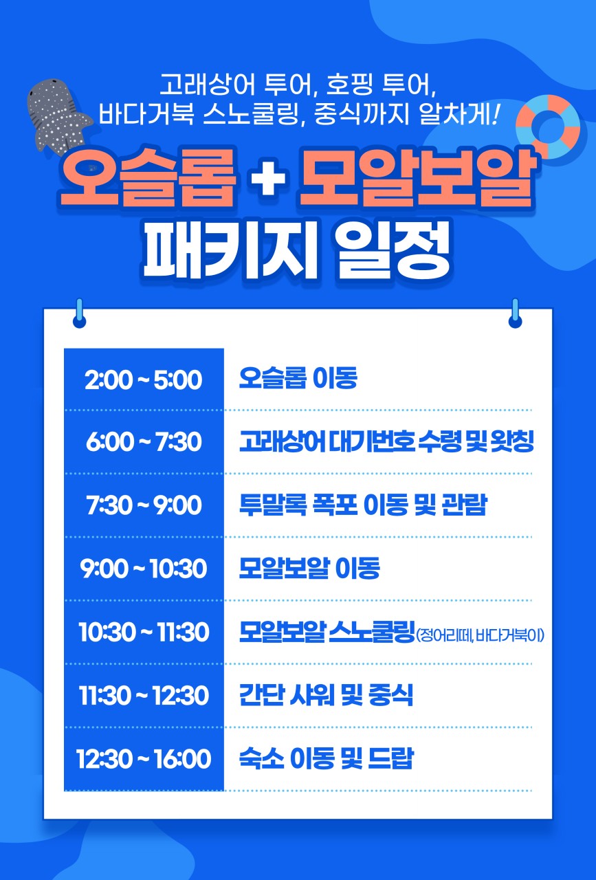 세부#제이파크#솔레아#호핑투어#노쇼핑#레이트체크아웃