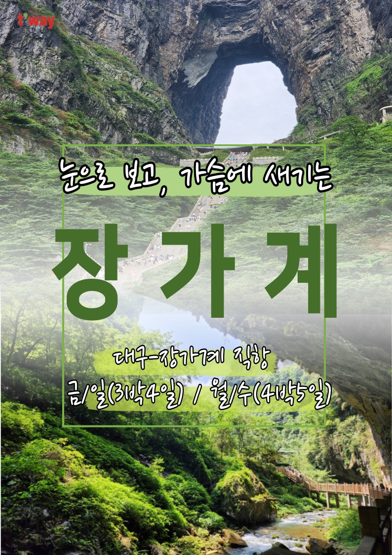 장가계 고품격 노팁노옵션 vs 노노노쇼핑 부용진