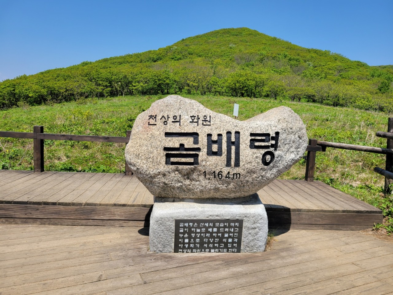 대구출발#곰배령2일#양양#수산시장#휴휴암#낙산사