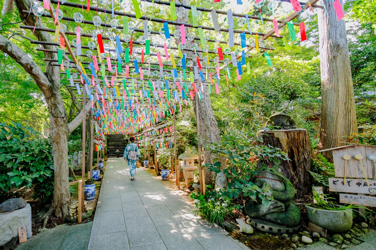 후쿠오카 여름한정상품 특전 꽉찬일정 세이브 마린월드 우미노나카미치