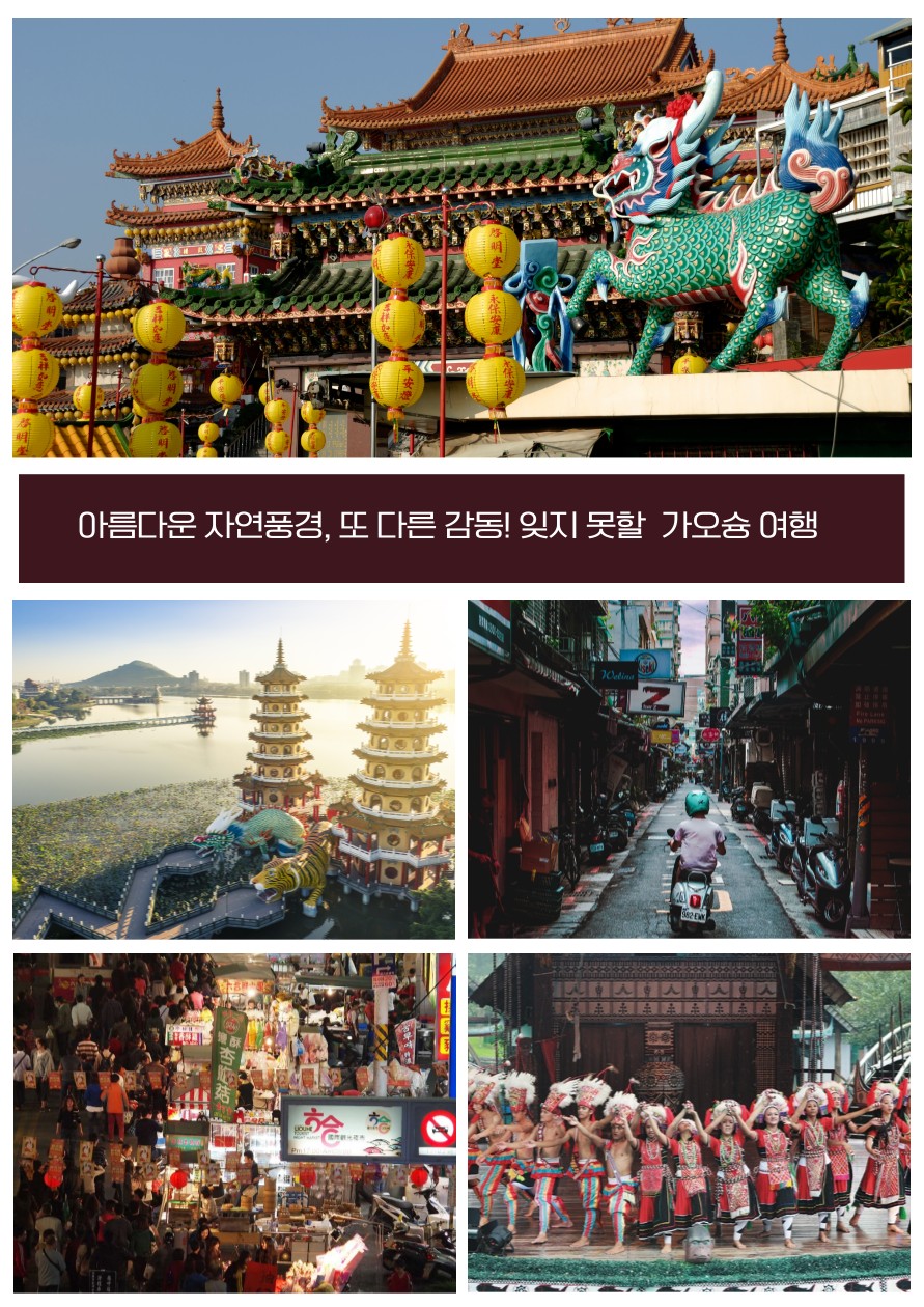 가오슝 아리산 타이난 노쇼핑 노옵션