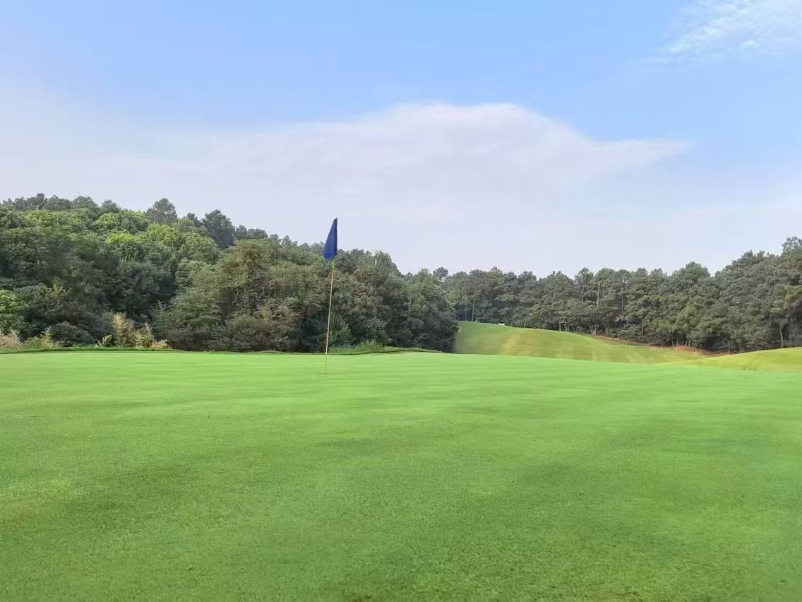남경 골프 난징 태양도CC 고품격 편리한이동 가성비