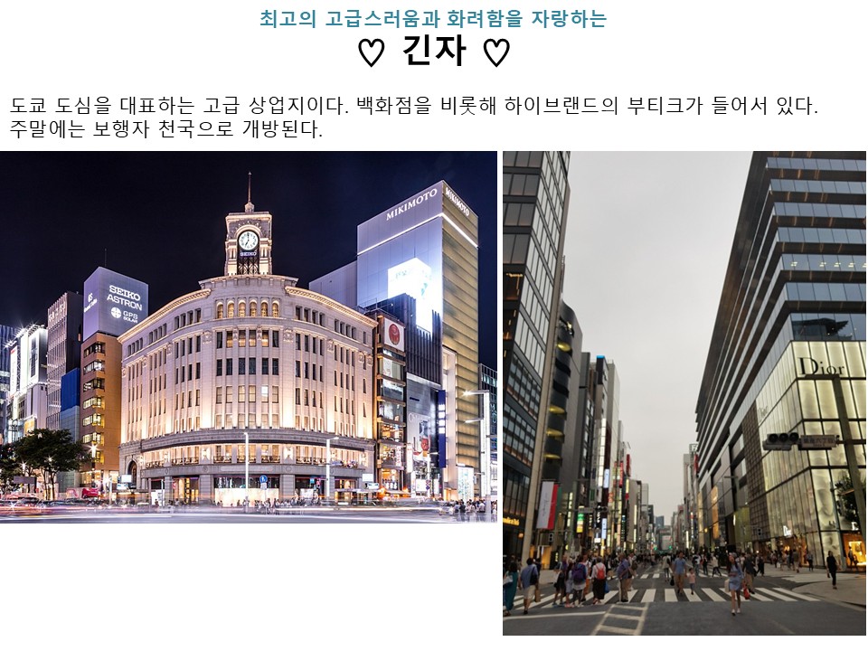동경/알펜루트/하코네#횡단#설벽감상#온천