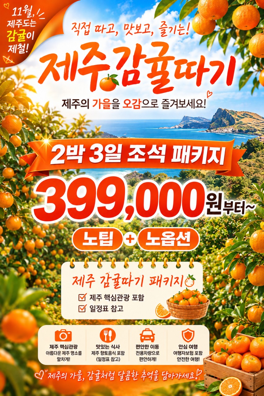 제주도 감귤이제철 핵심관광 조석패턴 꽉찬일정 관광급부터 특급호텔까지