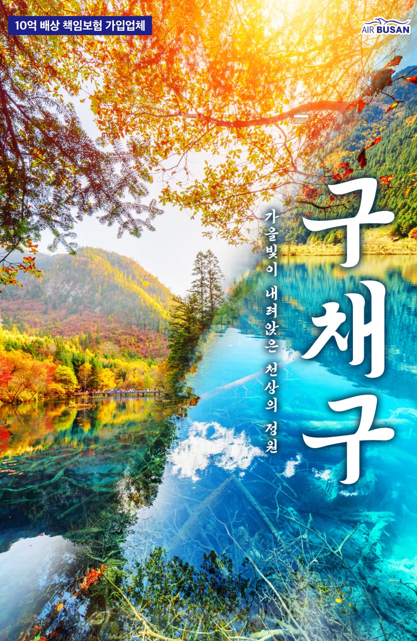 성도 구채구 초특가 세이브팩 vs 낙산대불 선착순
