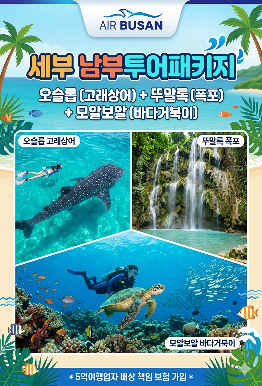 세부#남부투어#오슬롭#고래상어#뚜말록폭포#모알보알#바다거북이