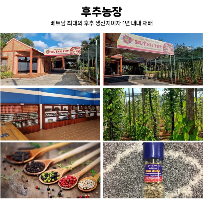 푸꾸옥 노옵션 5성급리조트 빈사파리 혼똔섬 그랜드월드