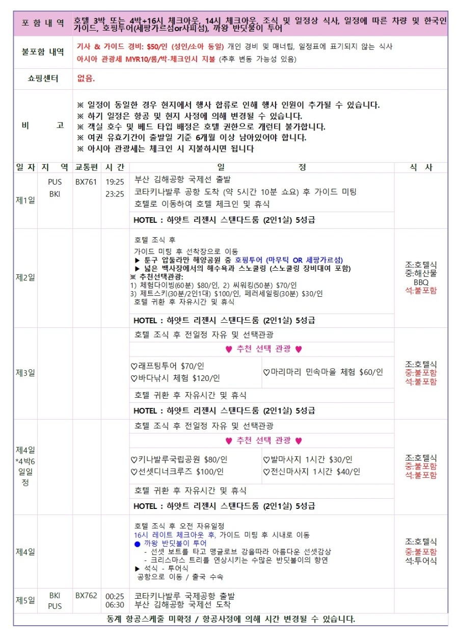 코타키나발루#하얏트리젠시#레이트체크아웃#노쇼핑#호핑투어#반딧불