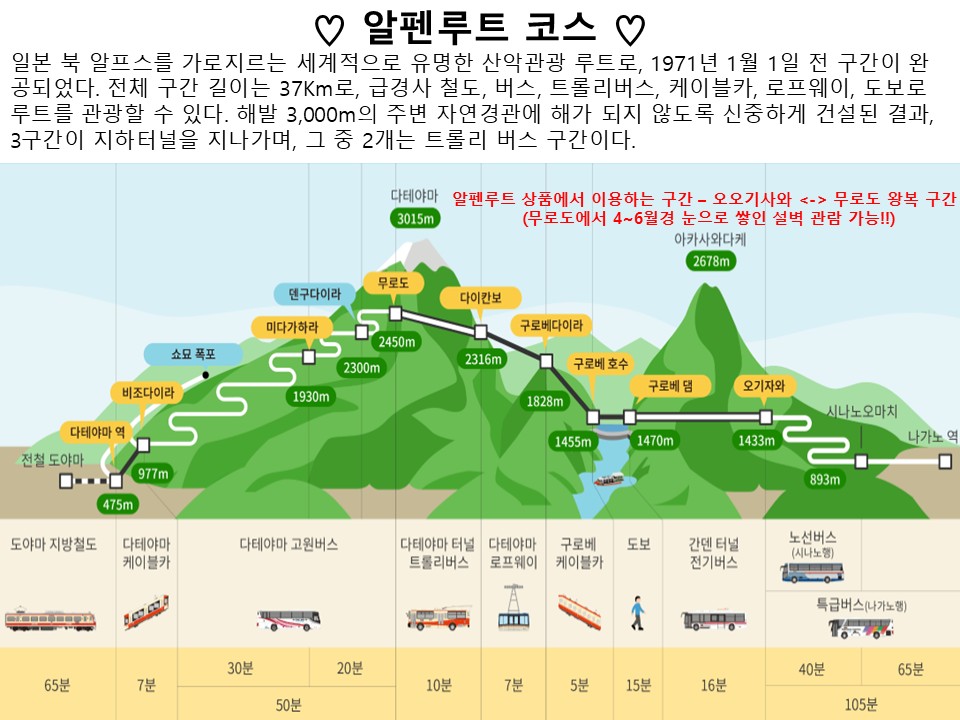 동경/알펜루트/하코네#횡단#설벽감상#온천