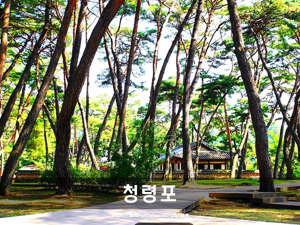 곰배령#매주토요일#영월데이투어#힐링여행#왕과사는남자#단종#청령포#선돌#장릉#선암마을#한반도지형