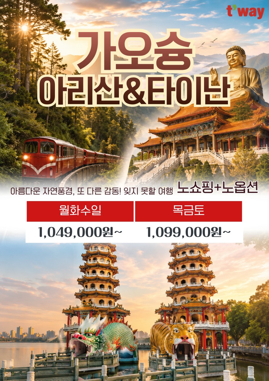 가오슝 아리산 타이난 노쇼핑 노옵션
