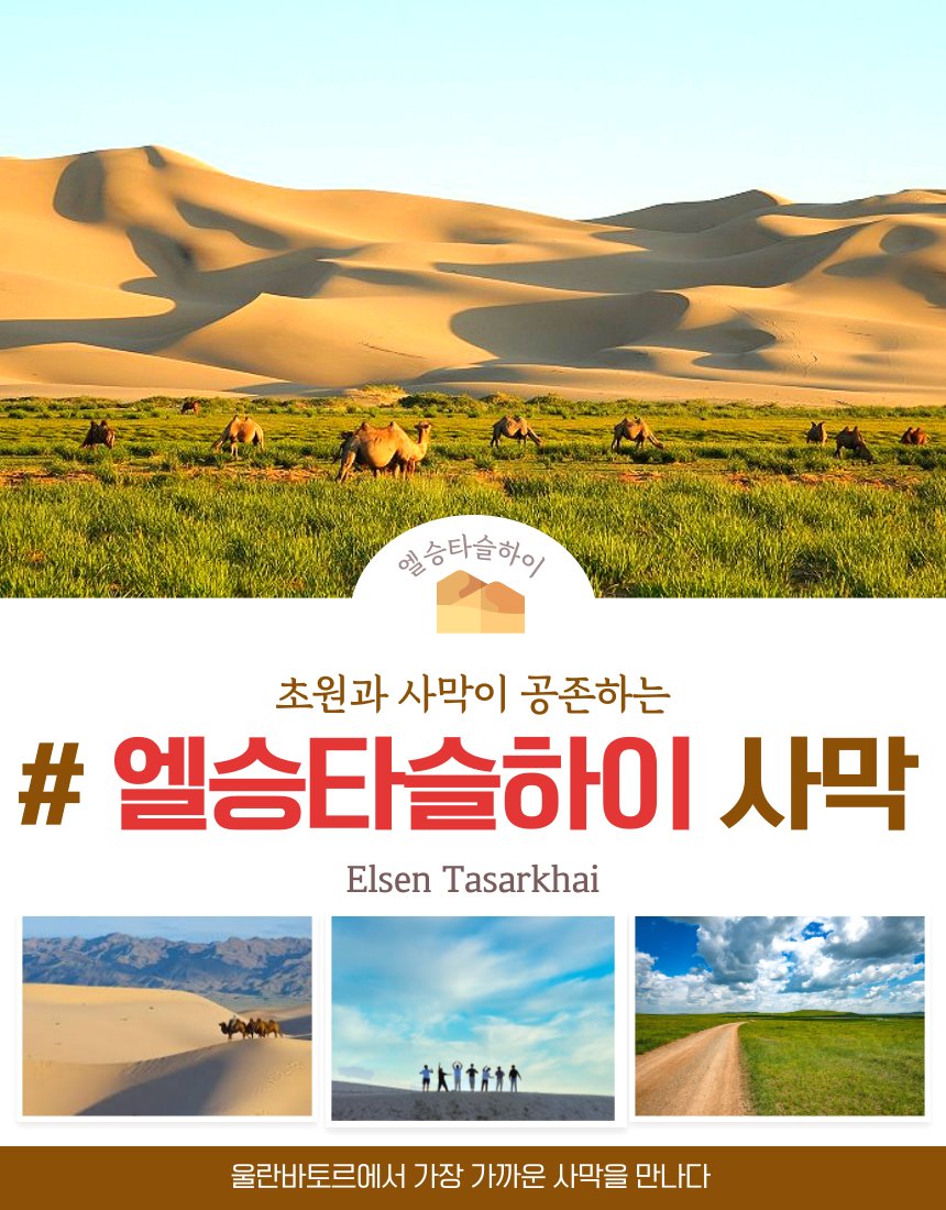 몽골 지정일특가 노옵션노쇼핑 럭셔리게르 전통게르 2인실