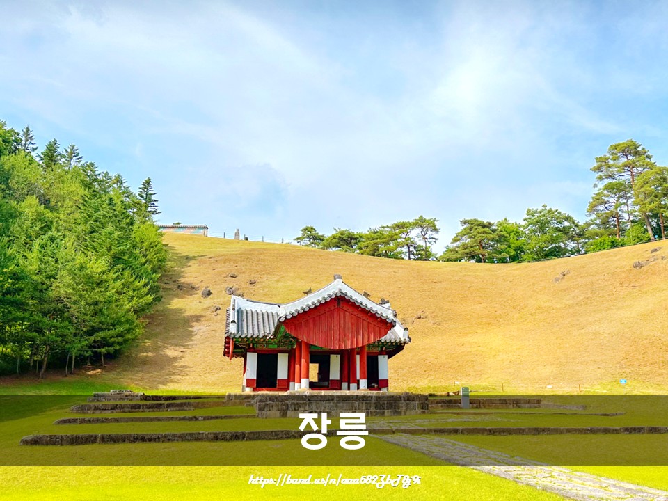 곰배령#매주토요일#영월데이투어#힐링여행#왕과사는남자#단종#청령포#선돌#장릉#선암마을#한반도지형