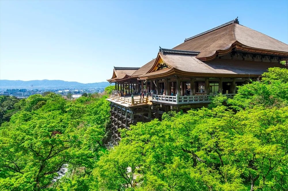 오사카 짱특가 나라 교토 시내숙박 실속 집중모객 조석패턴 꽉찬일정