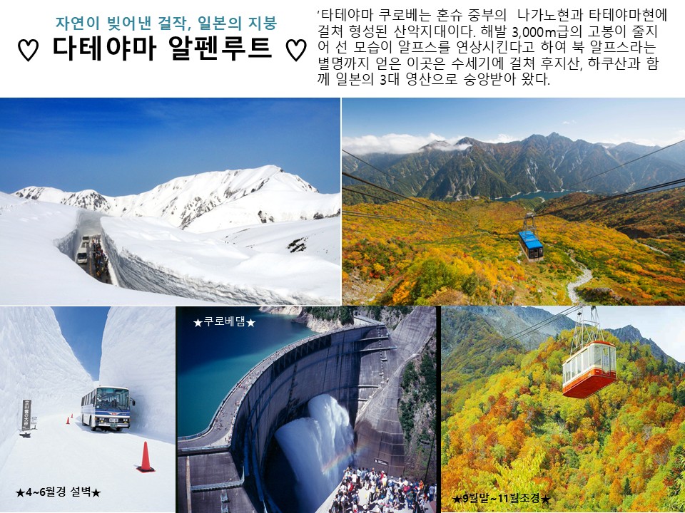 동경/알펜루트/하코네#횡단#설벽감상#온천