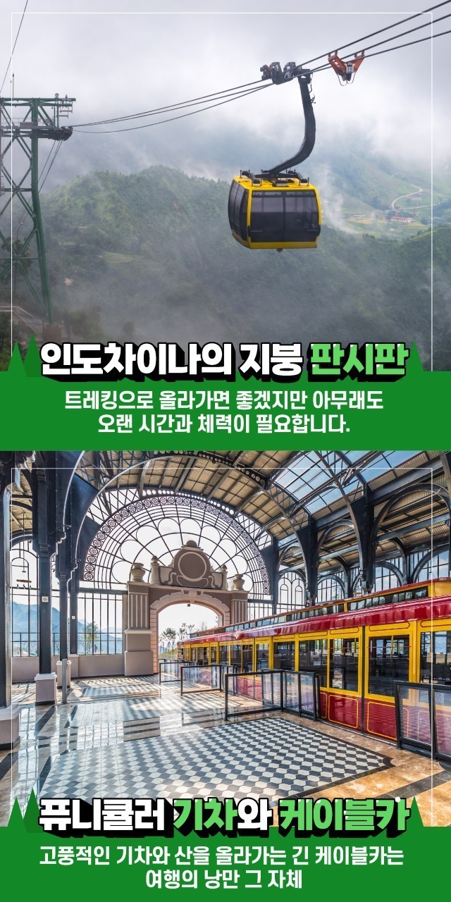 하노이 출발확정 노팁노옵션vs디너크루즈vs사파노노