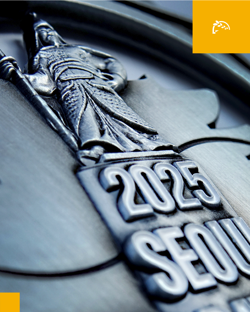 【2024】お歳暮・冬ギフト Medal Marathon Seoul 2025 Reveal Marathon Seoul : その他