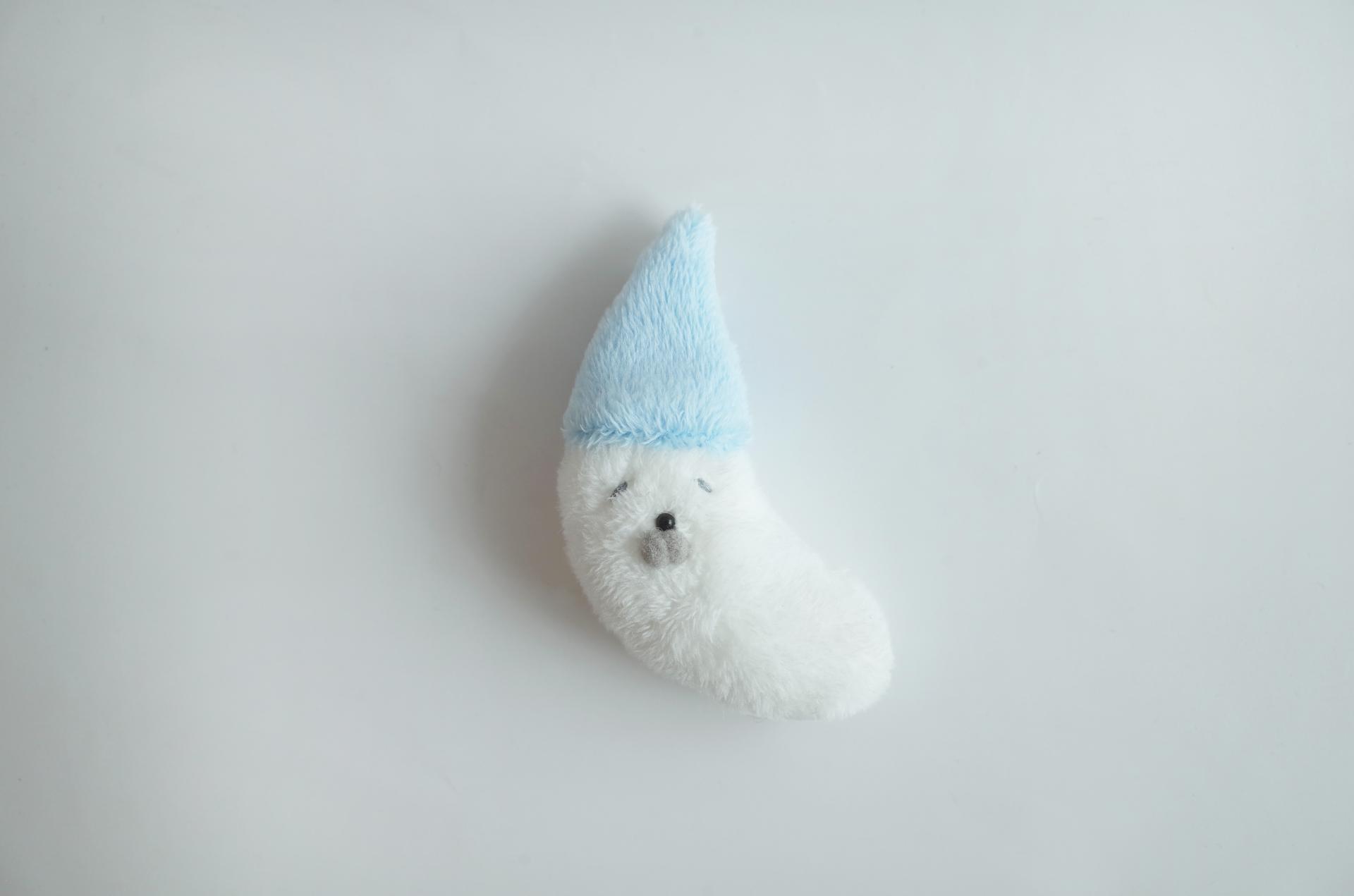 딸기 꼬마병정