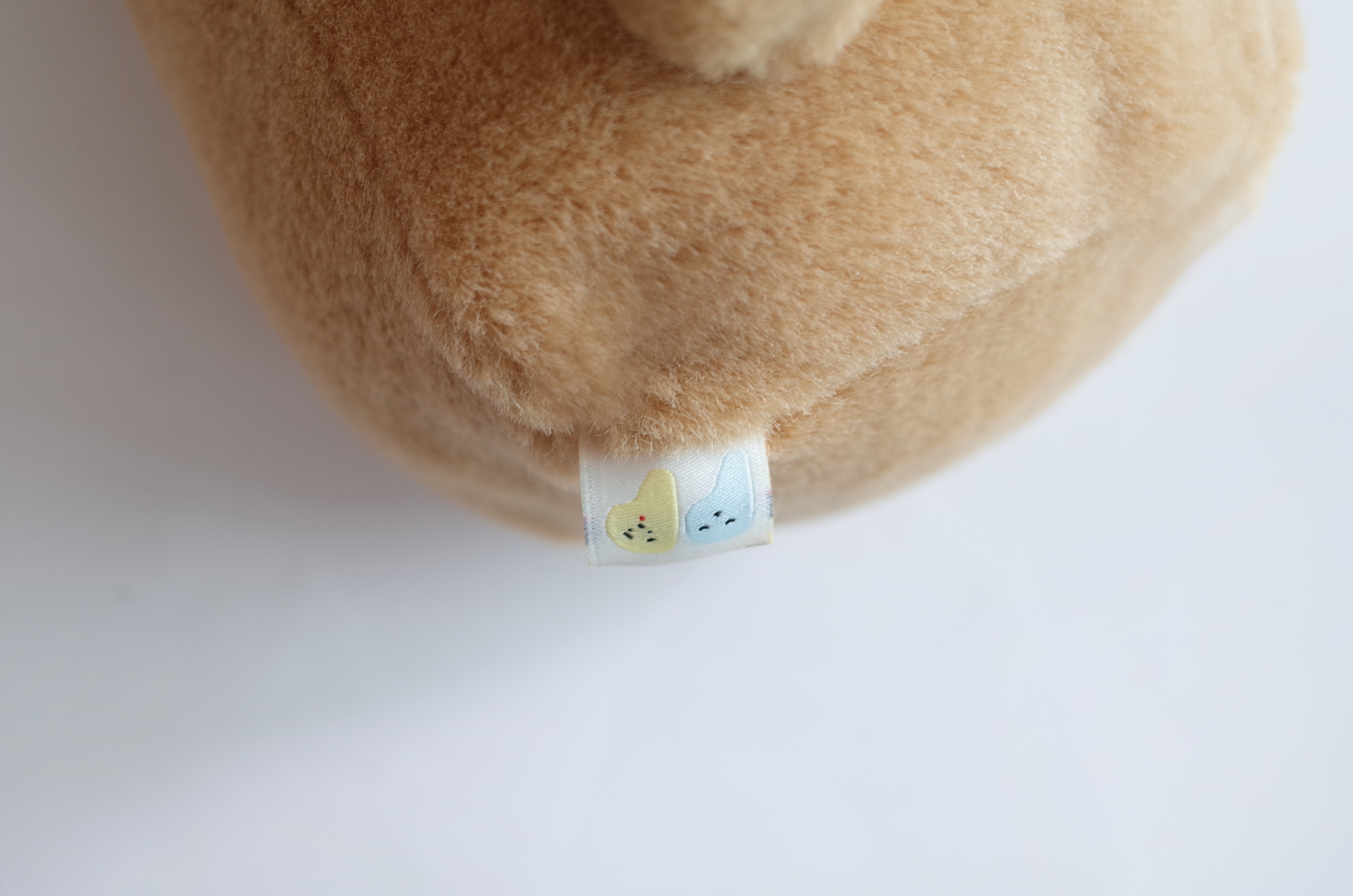 캐러멜 닥스훈트
