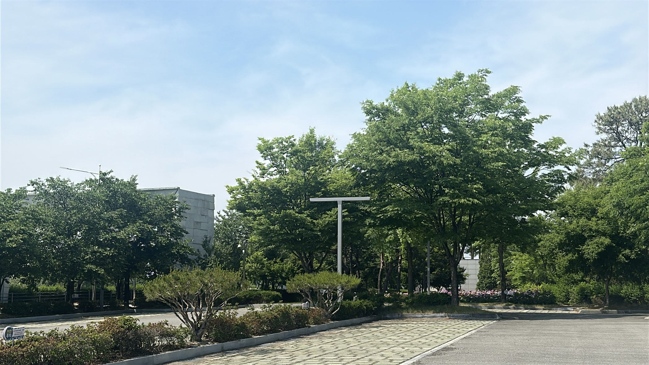 2f32e7f52c6d6.png
