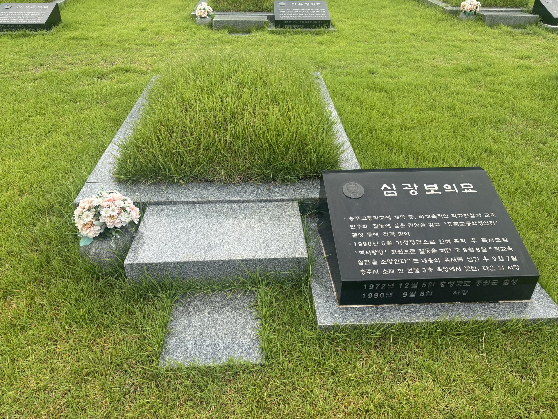 2f37aaf036a11.jpg