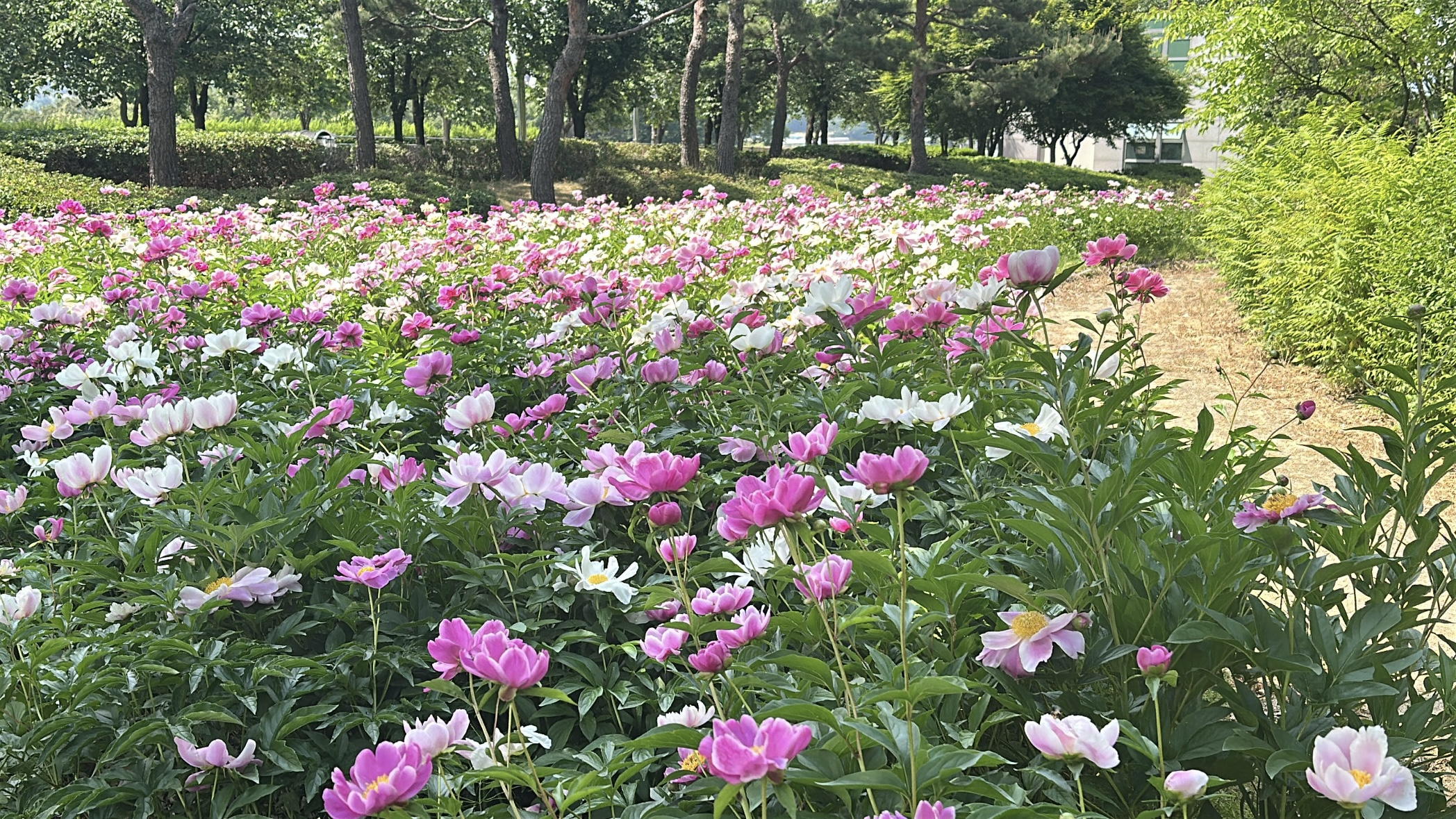 9ae1501091f05.png