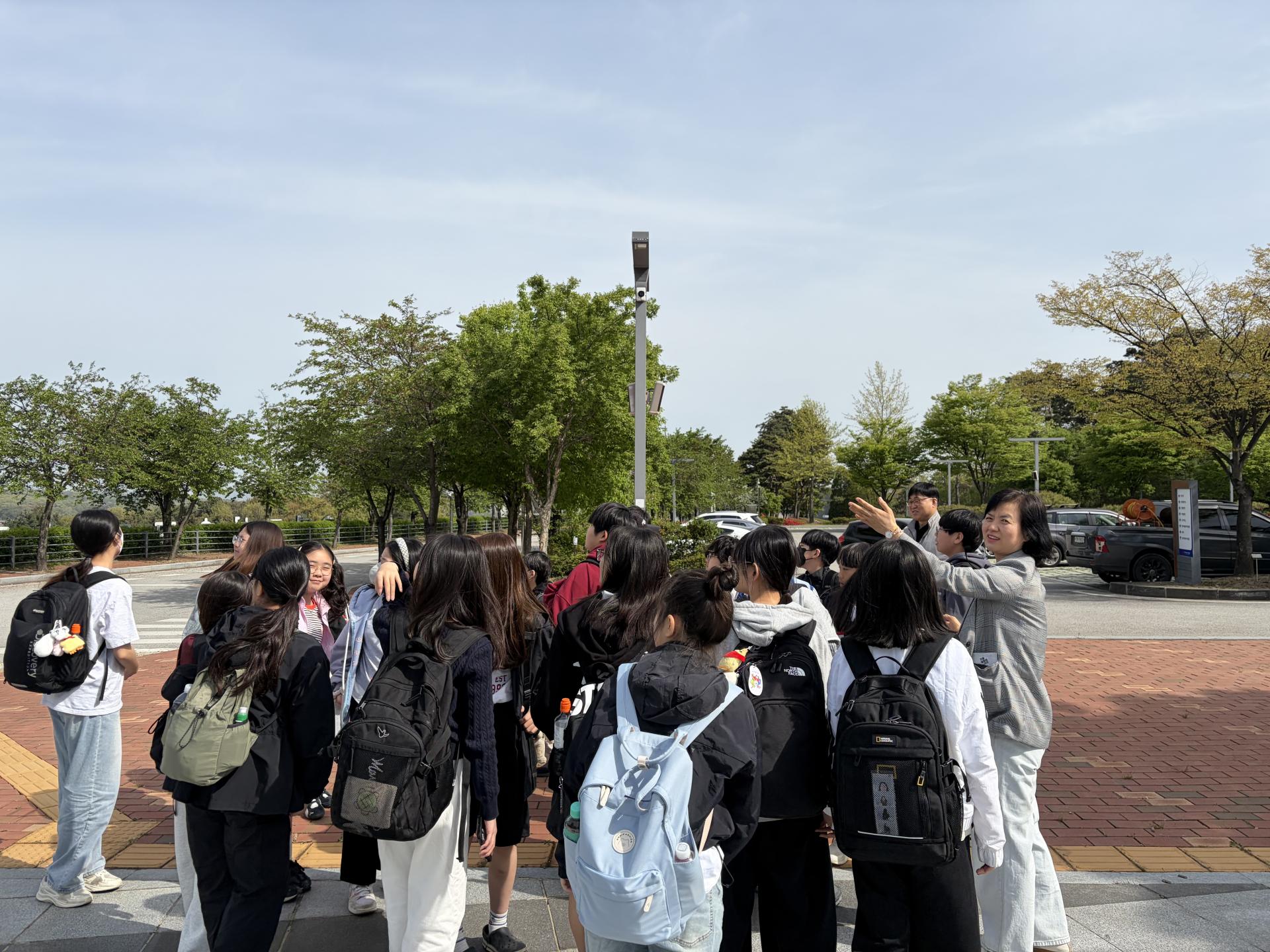 ae6729bac4912.jpg