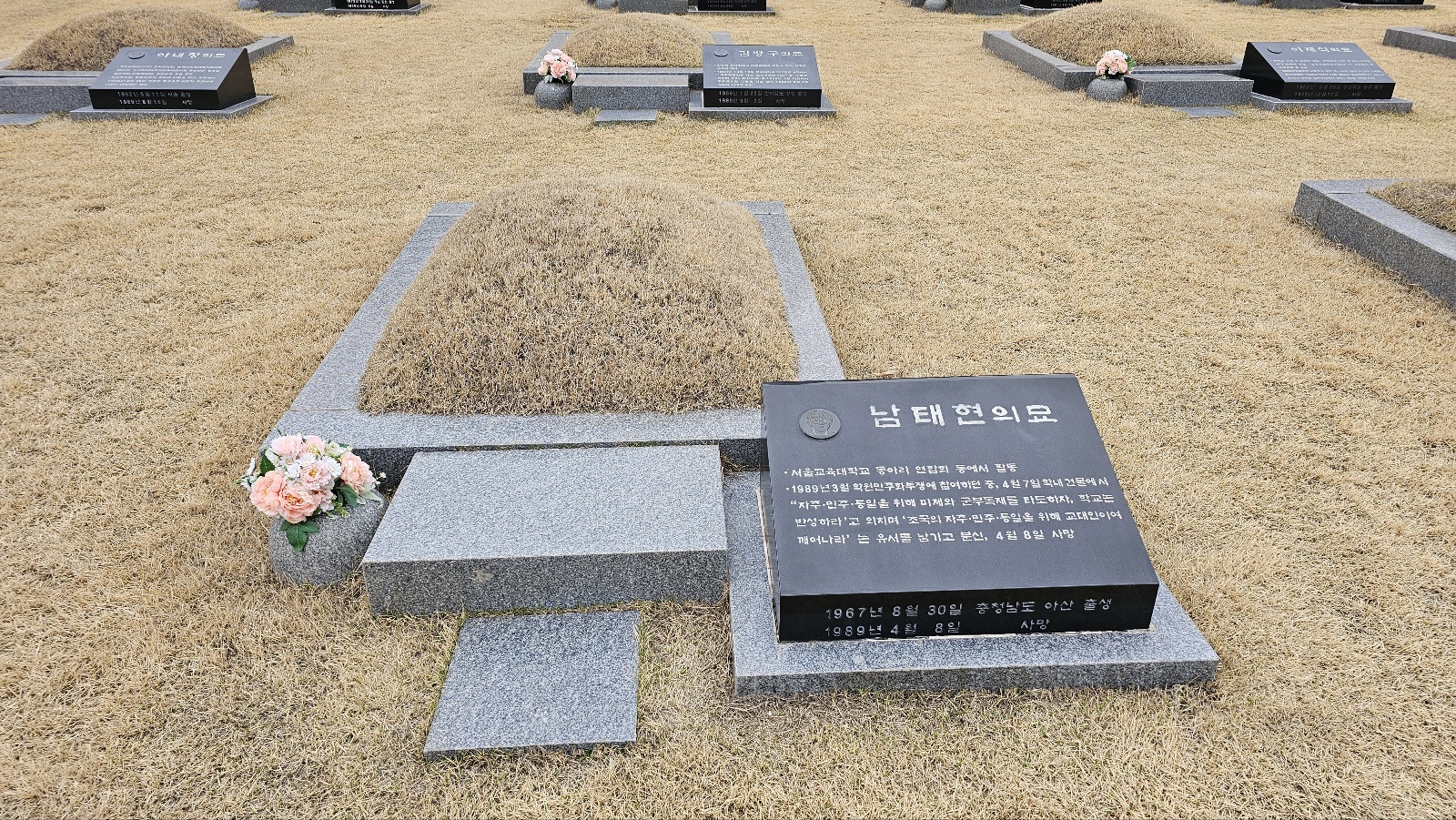 b399de7a39b8d.jpg