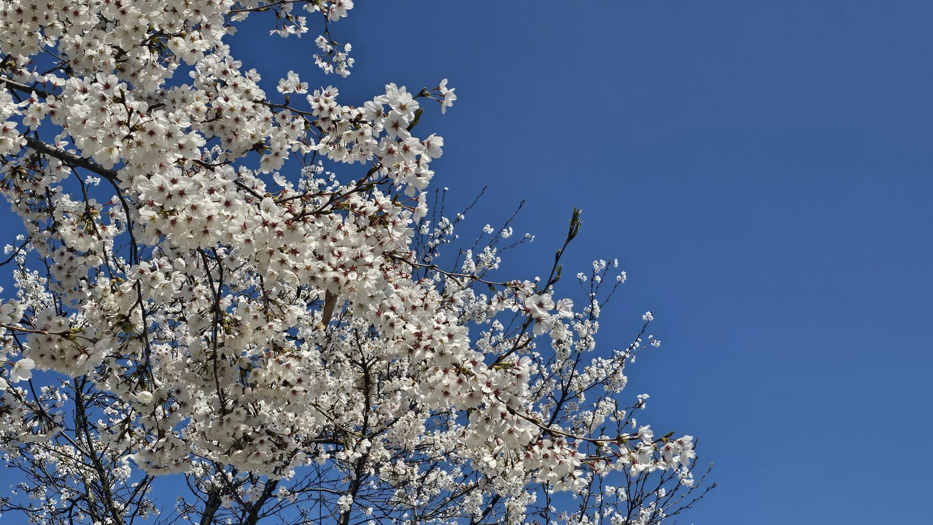 c27682b70f214.jpg