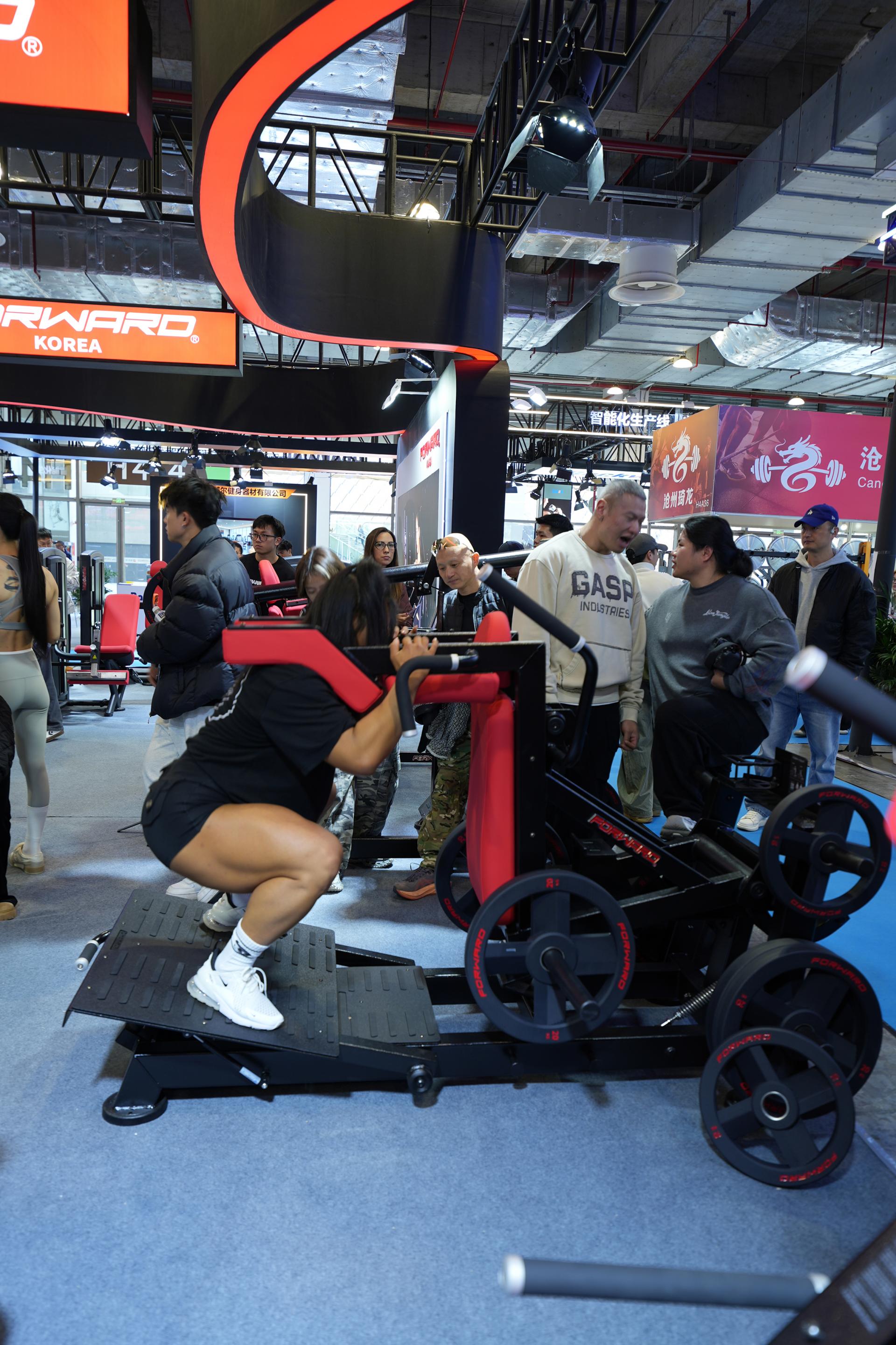 afe7e601331df.jpg