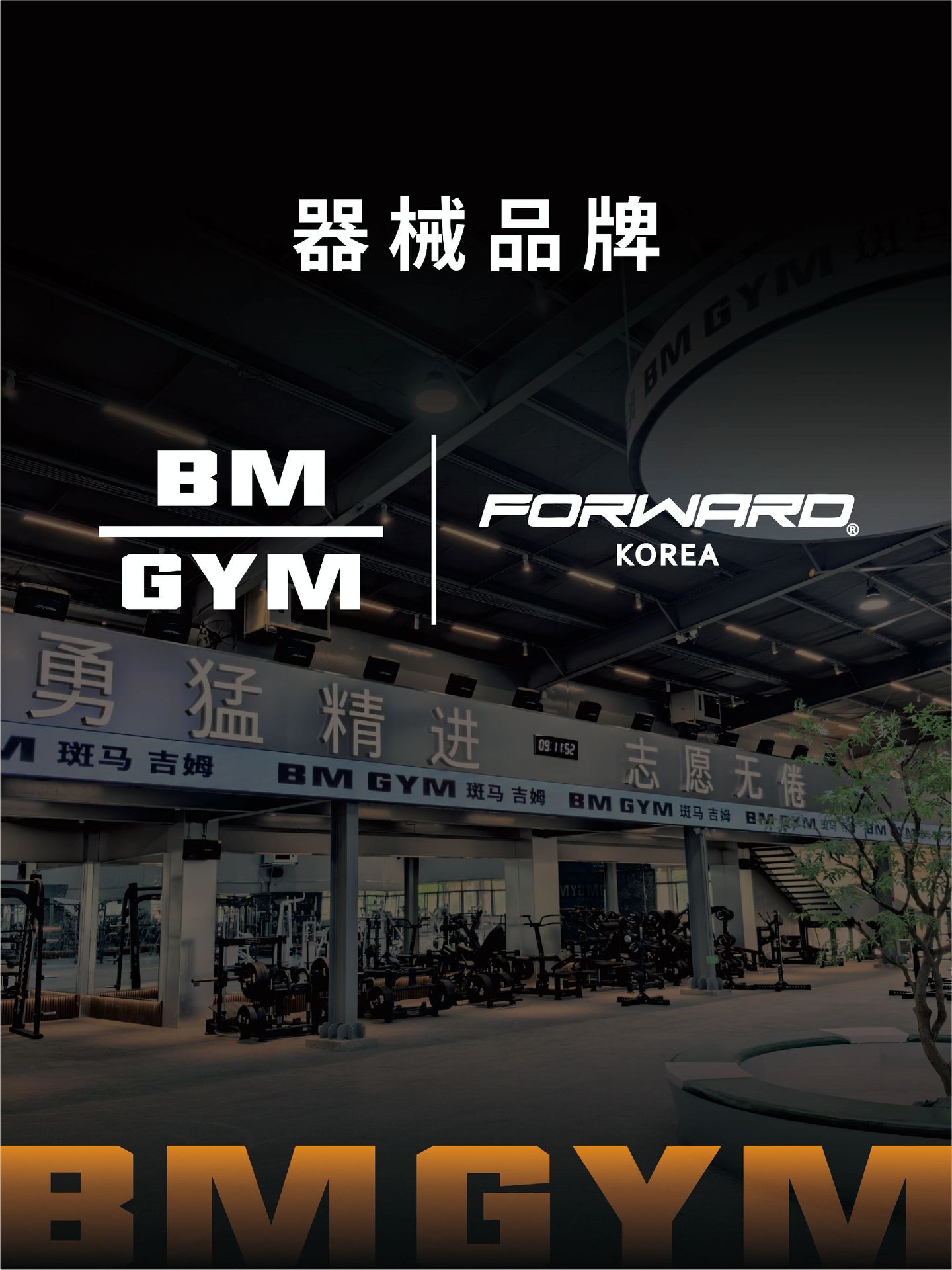 b6cb140105d0e.jpg