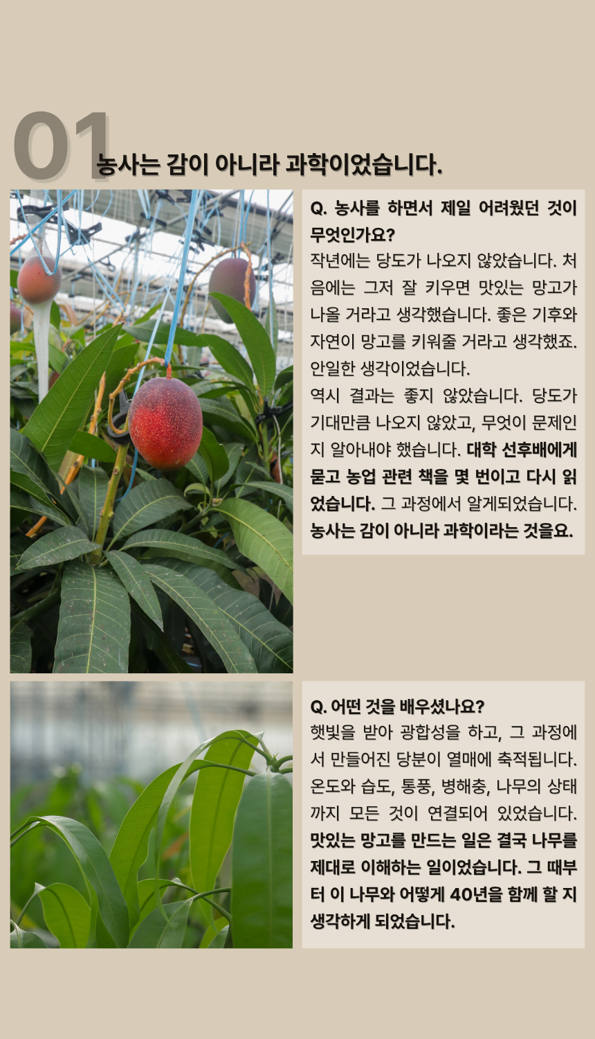 안성범·박선미 농부의 제주도 애플망고