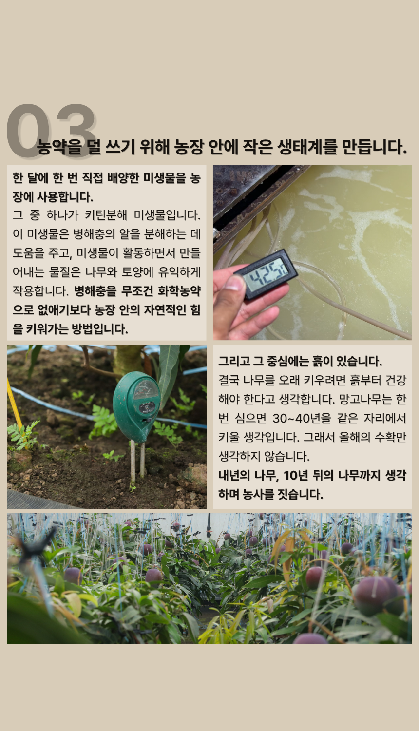 안성범·박선미 농부의 제주도 애플망고
