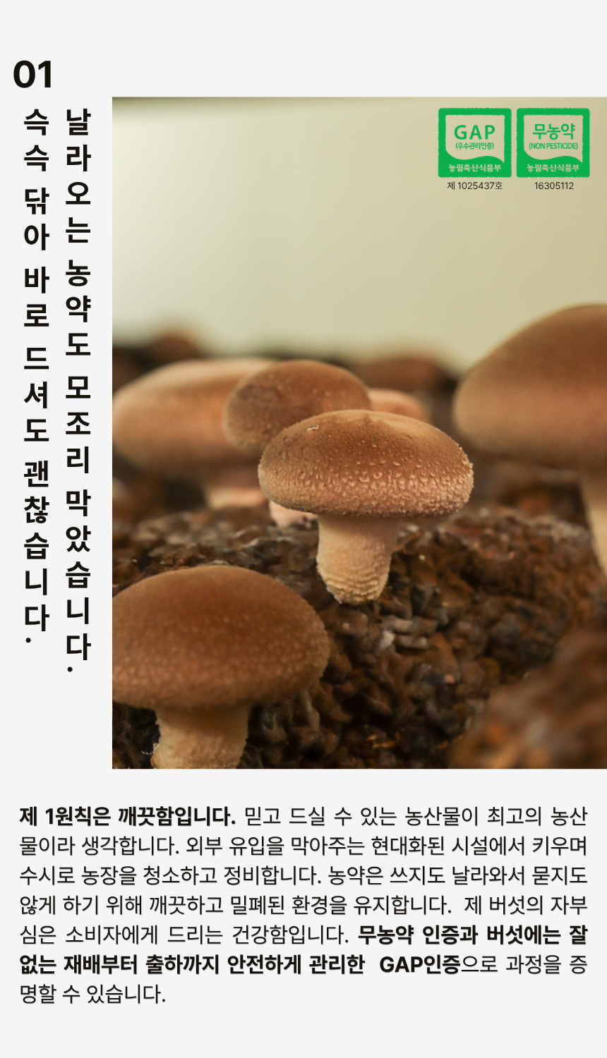 황창현 농부의 청도 표고버섯
