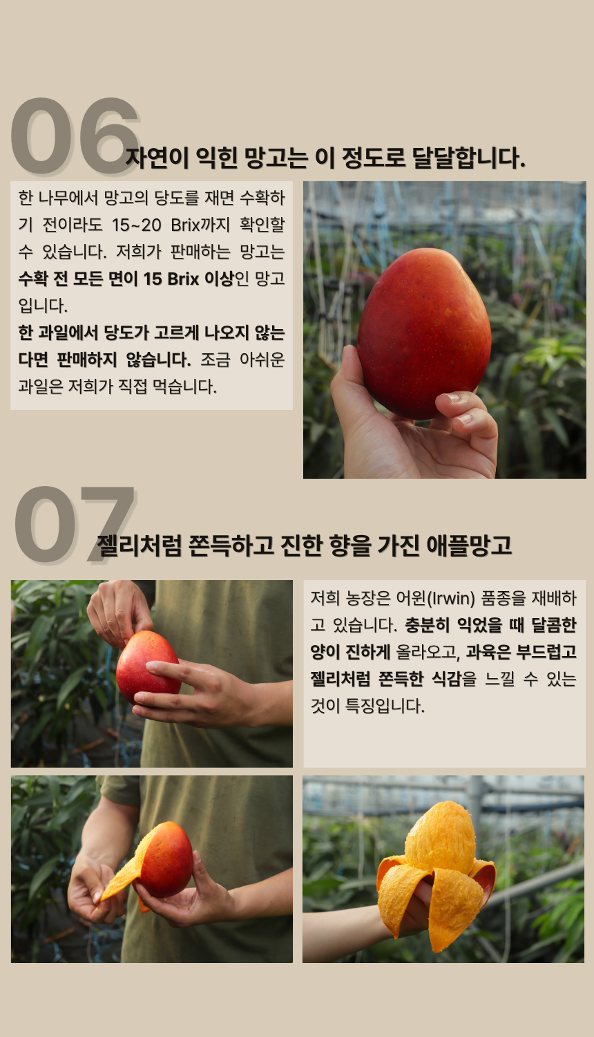 안성범·박선미 농부의 제주도 애플망고
