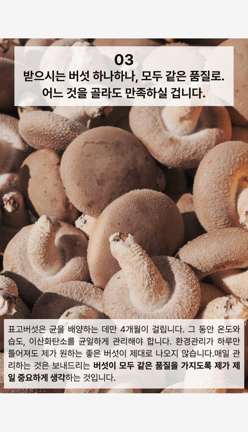 황창현 농부의 청도 표고버섯