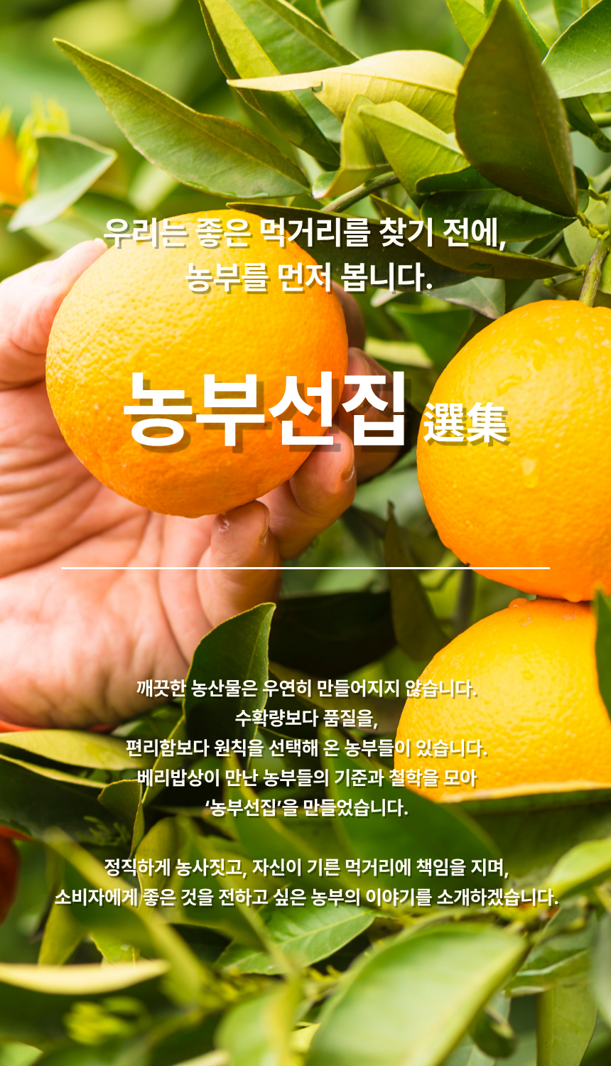 황창현 농부의 청도 표고버섯