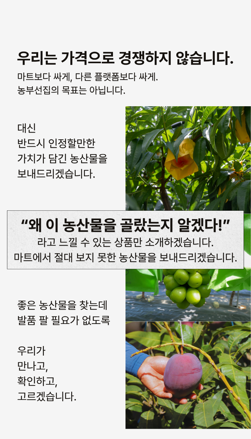 황창현 농부의 청도 표고버섯