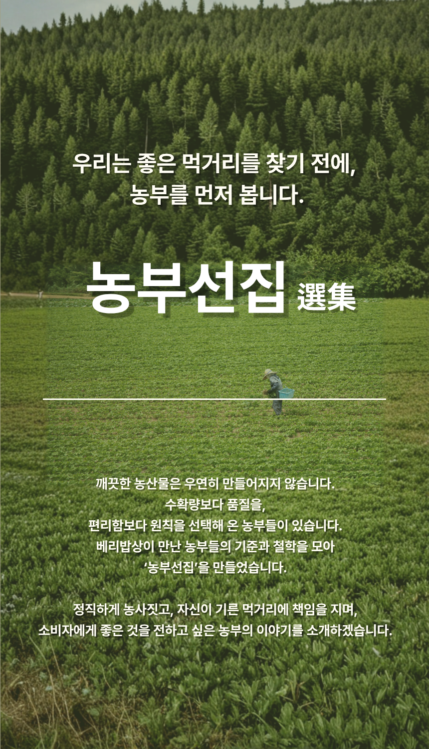 안성범·박선미 농부의 제주도 애플망고