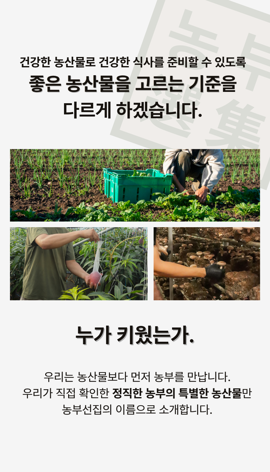 황창현 농부의 청도 표고버섯