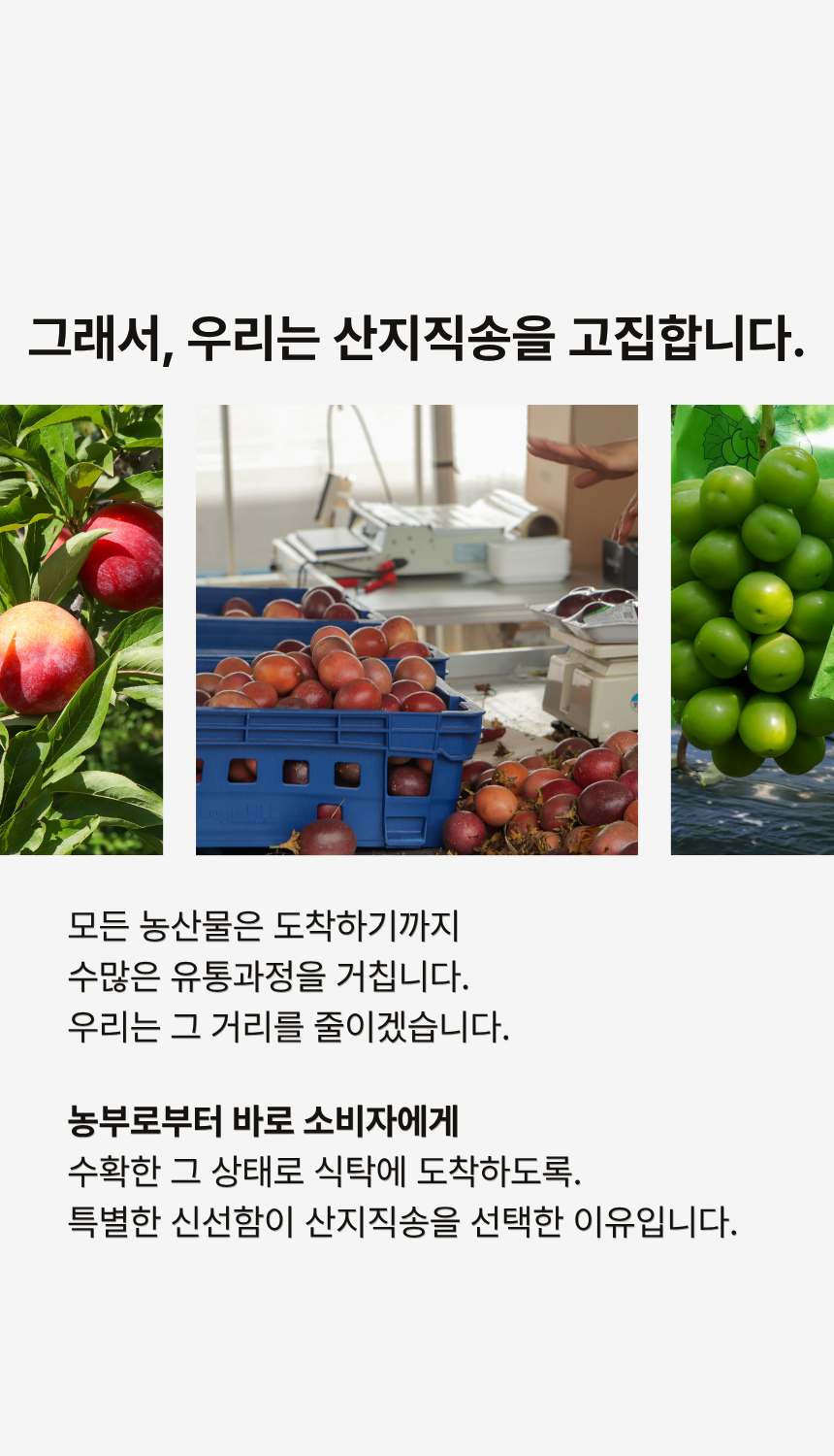 황창현 농부의 청도 표고버섯