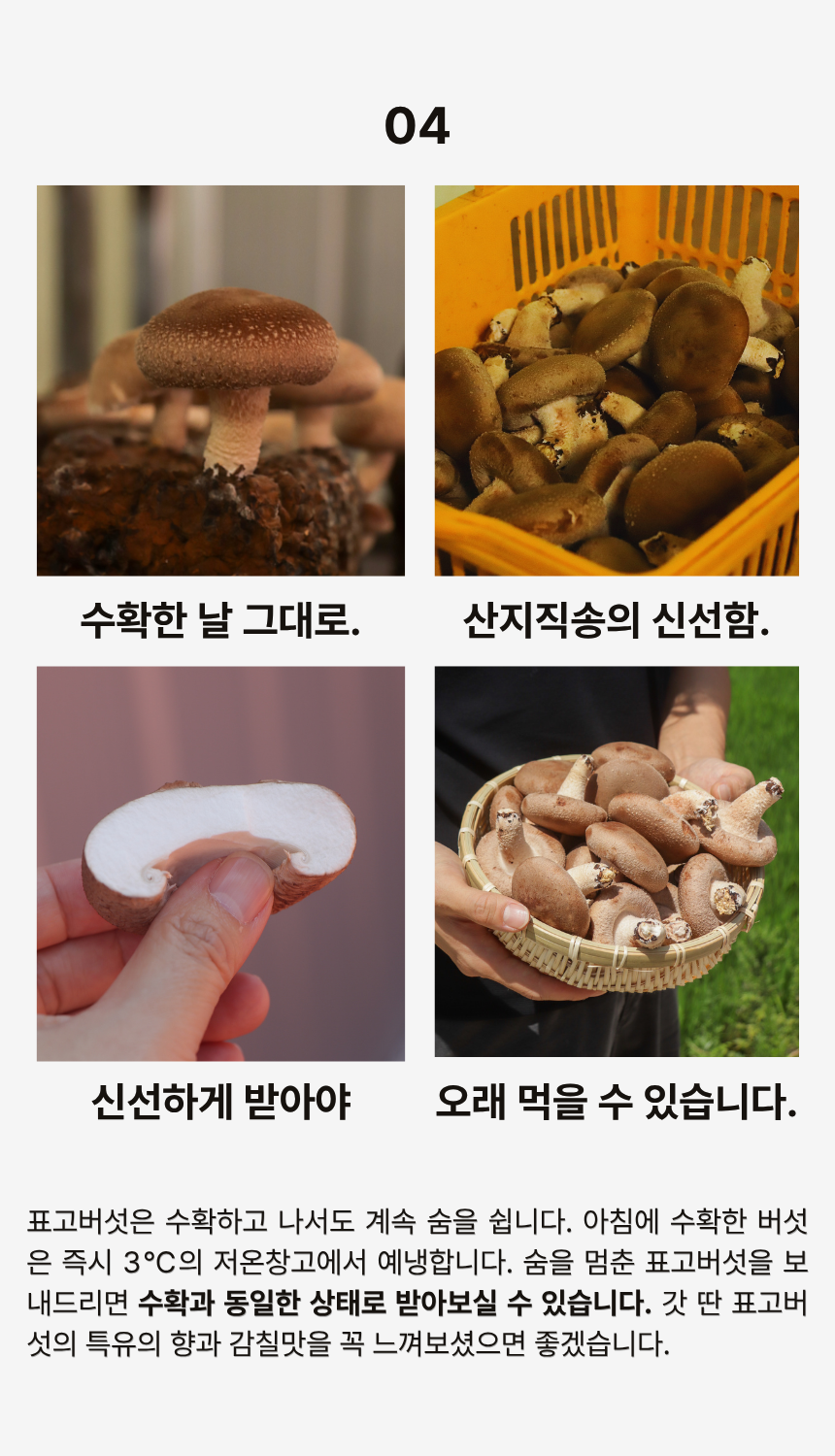 황창현 농부의 청도 표고버섯